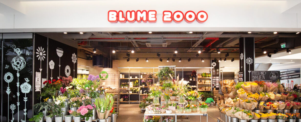 Blume 2000  NordWestZentrum Frankfurt