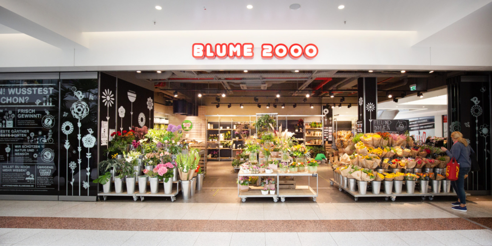 Blume 2000