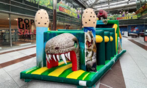 Dino Hindernisbahn